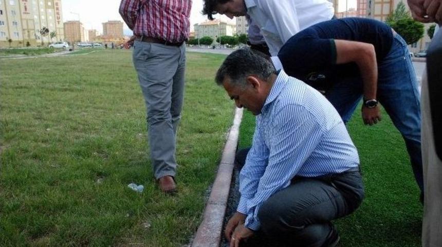 365 G&uuml;n Yeşil Alanlar Oluşturulacak