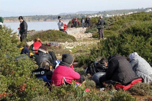 Havalar Isınınca Göçmen Hareketleri Hızlandı