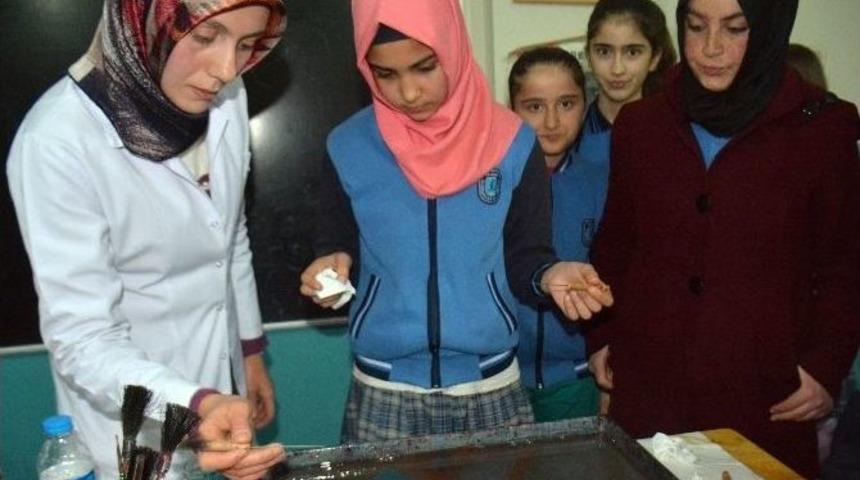 Fedakar &Ouml;ğretmenlerden &Ouml;ğrencilere Ebru Kursu