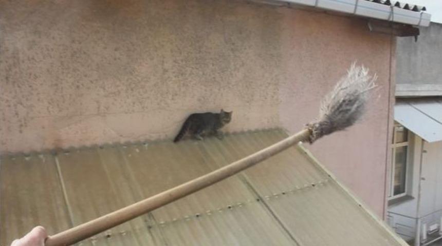 Mahsur Kalan Kedi 5. Kattan Aşağı D&uuml;şt&uuml;