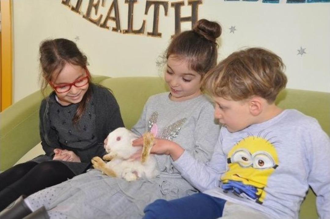 &Ouml;ğrenciler Okulu Hayvanat Bah&ccedil;esine &Ccedil;evirdi