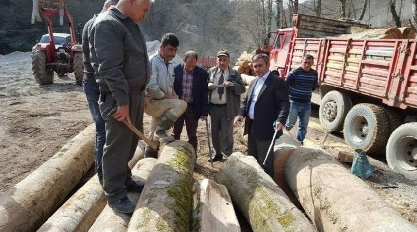 Orman İşletme Şefi &Uuml;retim Sahalarını Kontrol Etti