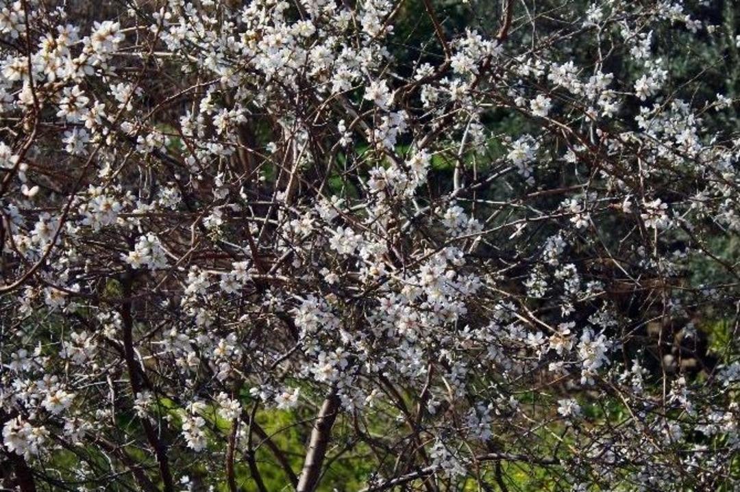 Antalya&rsquo;da Şubat Ateşi