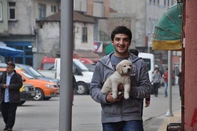 Giresun’da Güneşi Gören Vatandaş Sokaklara Akın Etti