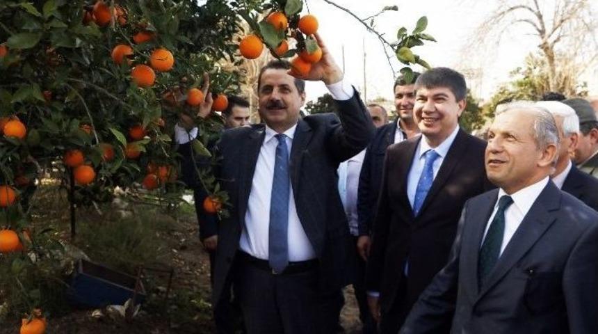 Bakan &Ccedil;elik&rsquo;ten Et Fiyatları Ve Cerattepe A&ccedil;ıklaması