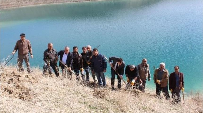 Samsat Belediyesi Ağa&ccedil;landırma &Ccedil;alışmalarına Devam Ediyor