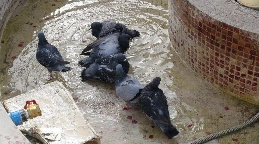 Edirne&rsquo;de Termometreler 31 Dereceyi G&ouml;sterdi