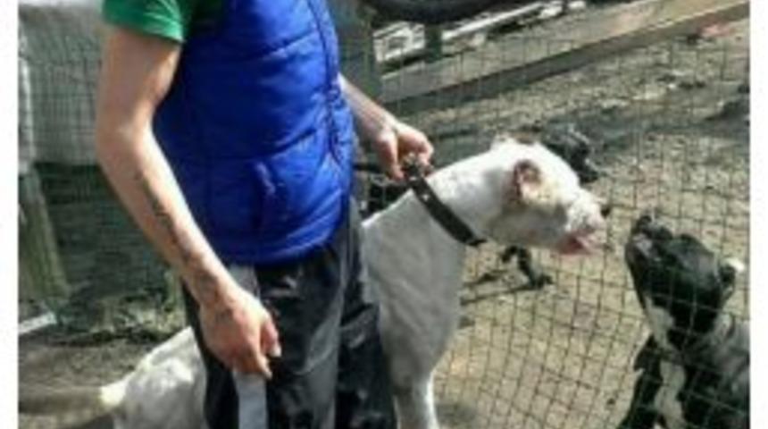 T&uuml;fekle Vurulmuş Olarak Bulundu