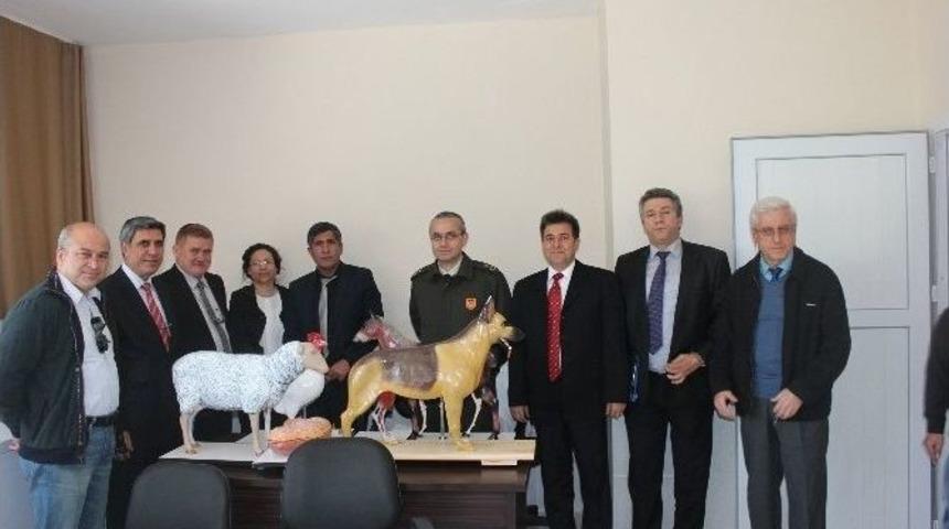 Sokak Hayvanları İ&ccedil;in Kurulan Komisyon Ceyhan&rsquo;da