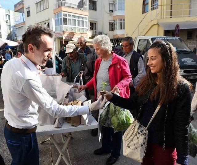 Muratpaşa Belediyesi Pazarlarda Fide Dağıtıyor