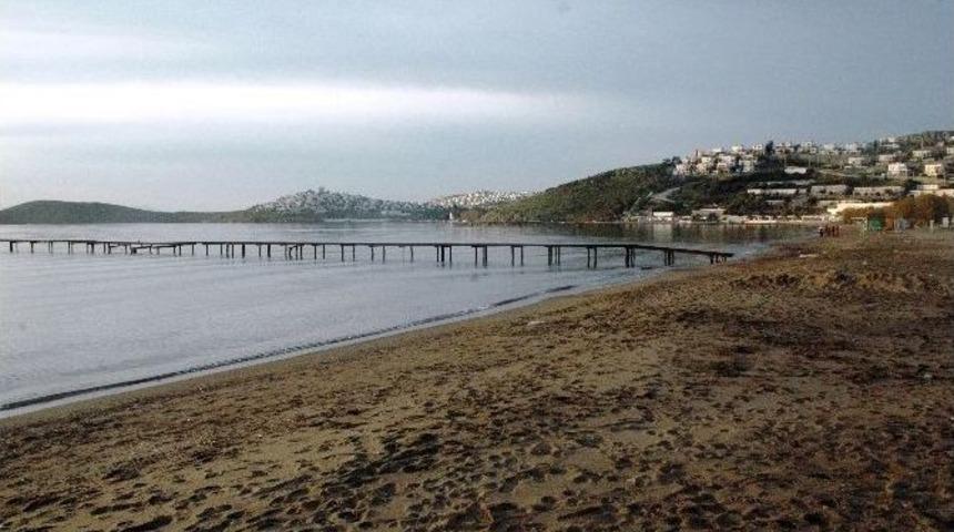 Ege Denizi&rsquo;nde Can Pazarı