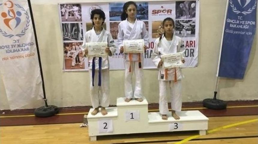 Analig Judoda Salihli R&uuml;zgarı