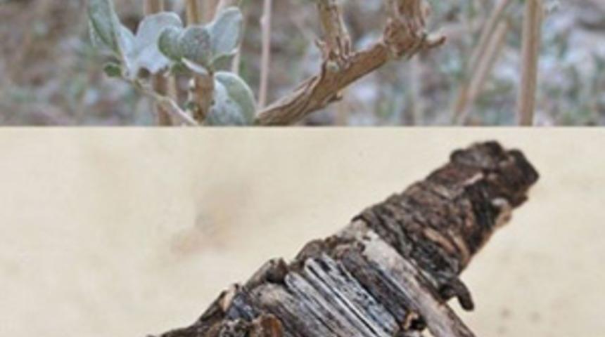 Gizemli &ccedil;emberin sırrı &ccedil;&ouml;z&uuml;ld&uuml;