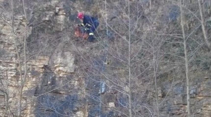 Kayalıklarda Mahsur Kalan K&ouml;pek Kurtarıldı