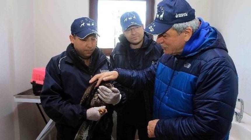 Bir Yılda 4 Bin 525 Sokak K&ouml;peği Tedavi Edildi