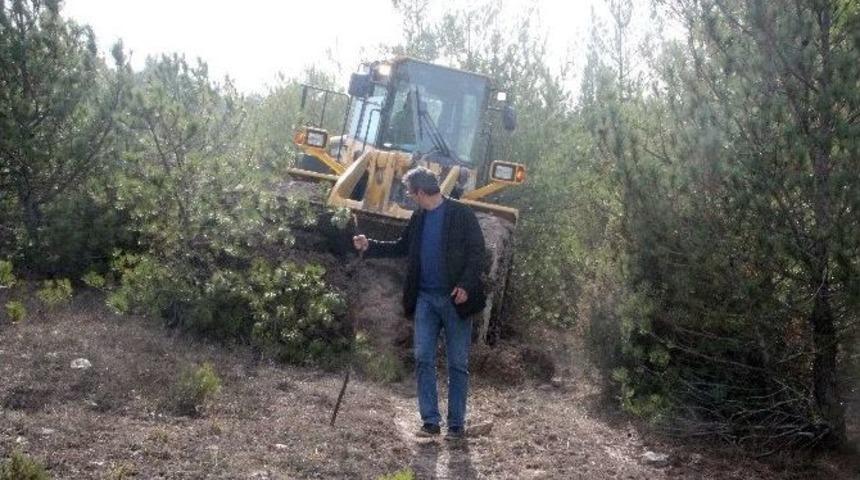 Kaybolan Yaşlı Adam Ağaca Asılı Halde Bulundu