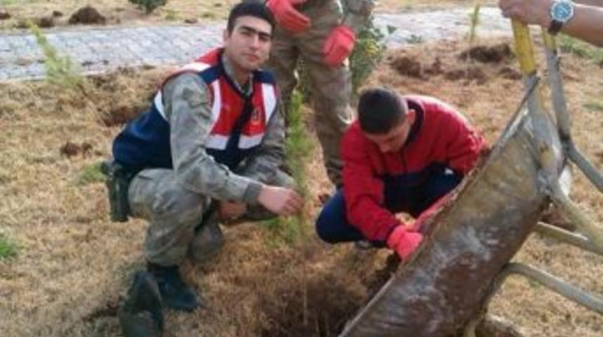 Sur&rsquo;da Şehit D&uuml;şen Se&ccedil;kin &Ccedil;il&rsquo;den Geriye Fidan Dikerken &Ccedil;ektirdiği Fotoğraf Kaldı