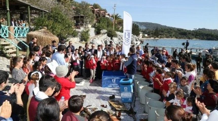 Bodrum&rsquo;da Deniz Dibi Temizliğine Yoğun İlgi