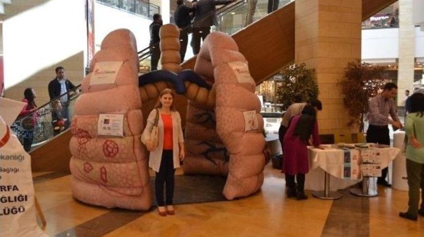 Piazza&rsquo;da Dev Akciğer Maketi Kuruldu