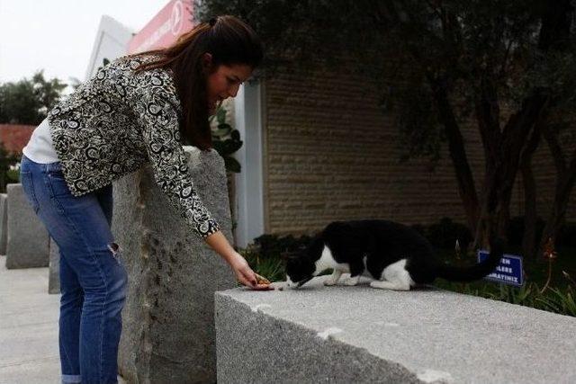 Sevimli Dostlar Bu Avm’yi Çok Seviyor