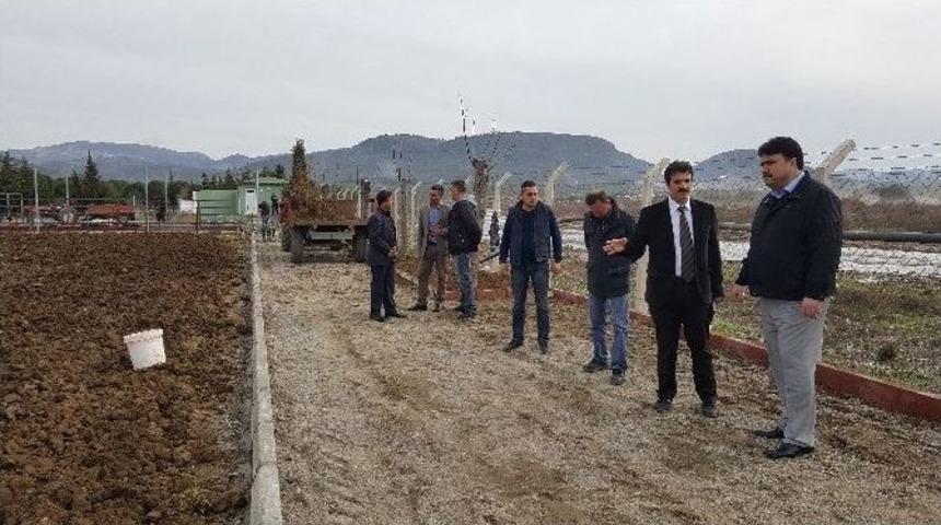 Havran&rsquo;da Deve G&uuml;reşleri İ&ccedil;in &Ccedil;alışmalar S&uuml;r&uuml;yor