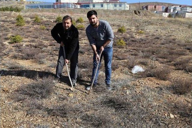 Yozgat’ta Baharın Müjdecisi Çiğdemler Çıktı