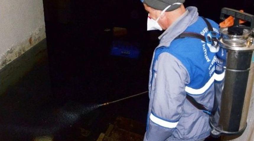 Alanya&rsquo;da Bodrum Katlara Sinek Uyarısı