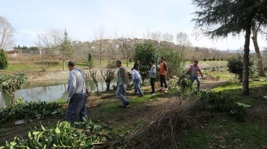 Serdivan&rsquo;da Bitki Bakım Ve Budama &Ccedil;alışmaları Devam Ediyor