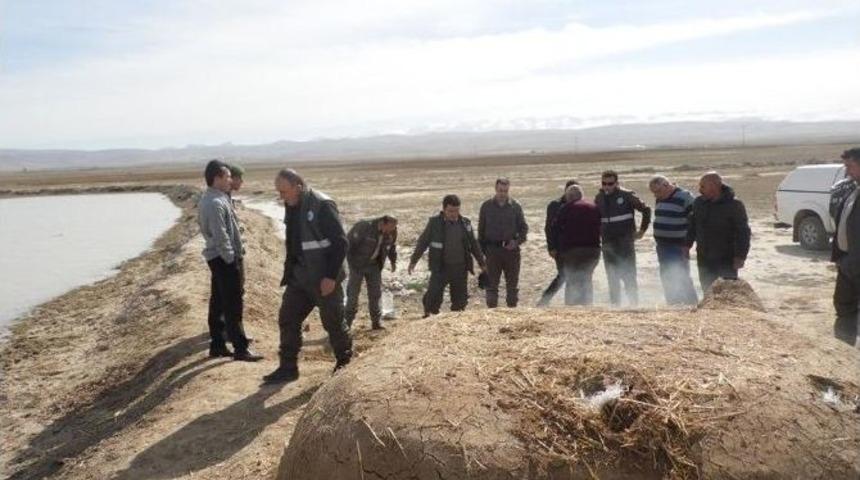 Niğde&rsquo;de Ka&ccedil;ak Avcı G&uuml;meleri Yakıldı