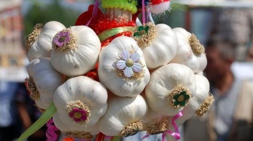 T&uuml;rkiye&rsquo;nin Kuru Sarımsak &Uuml;retiminin Y&uuml;zde 22&rsquo;si Taşk&ouml;pr&uuml;&rsquo;de Ger&ccedil;ekleşti