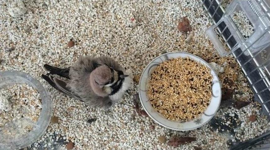 Duyarlı Hocadan &Ouml;rnek Davranış