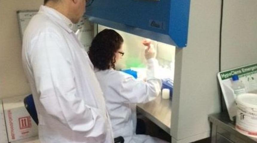 Om&uuml;&rsquo;den Kkka İ&ccedil;in Uluslararası İşbirliği