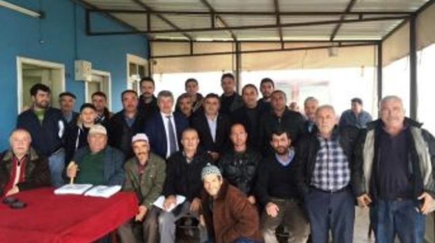 Zeytinburnu&rsquo;nda Hayvancılık Eğitimi