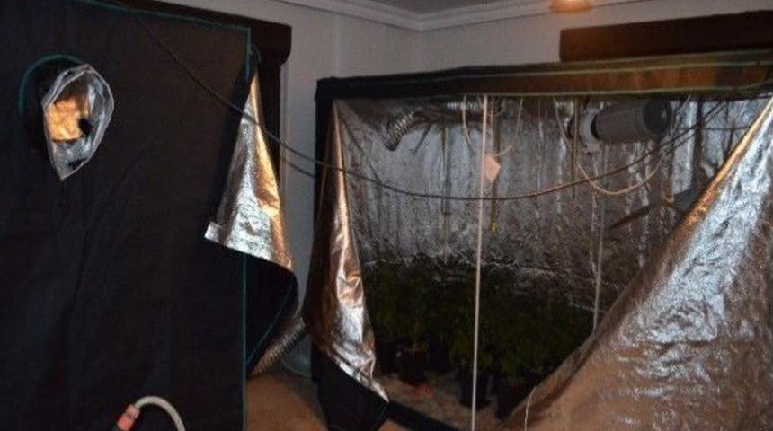 Seraya Çevrilmiş Evin Odasında Kenevir Üretimi