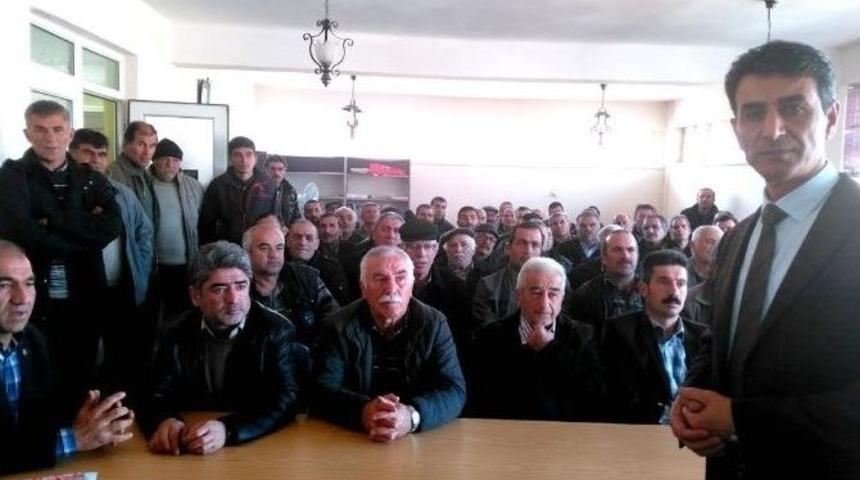 120 Bin Dekarlık Alanda Aspir Bitkisi &Uuml;retilebilir