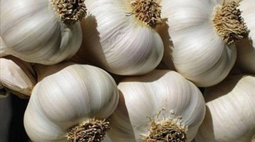 D&uuml;nyanın en faydalı 12 bitkisi