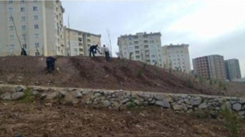 K&ouml;rfez&rsquo;de 400 Fidan Toprakla Buluştu