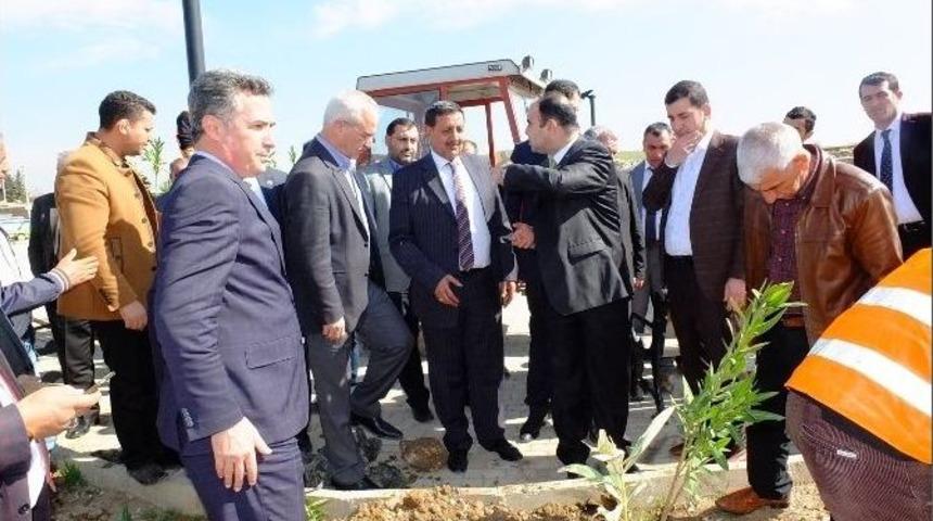 Harran&rsquo;da Ağa&ccedil; Dikim T&ouml;reni D&uuml;zenlendi