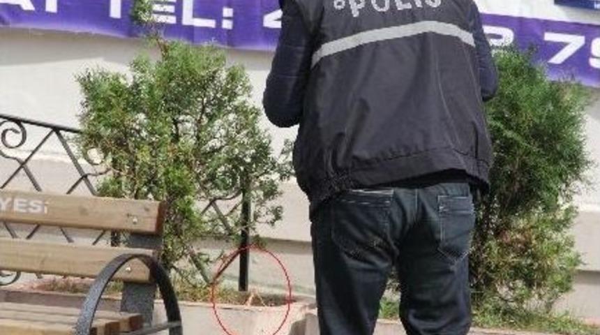 Cami Bah&ccedil;esinde Bulunan F&uuml;nye Korkuttu