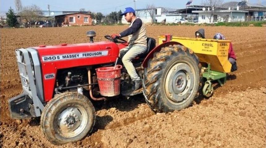 Sıcak Hava Patates &Uuml;reticisinin Y&uuml;z&uuml;n&uuml; G&uuml;ld&uuml;rd&uuml;