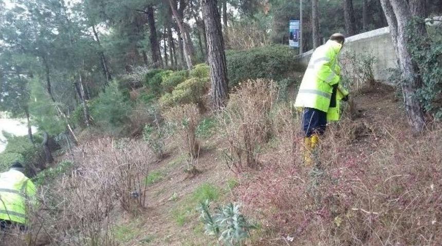 Manisa B&uuml;y&uuml;kşehir Belediyesi Temizlikte Titiz Davranıyor