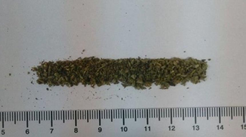 Jandarma İki Gencin &Uuml;zerinde Bonzai Ele Ge&ccedil;irdi