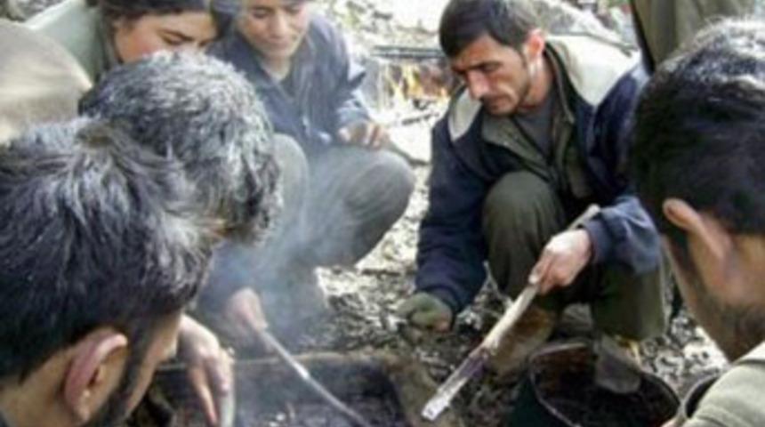 Dağ kadrosu yaşlanan PKK ne yapıyor?