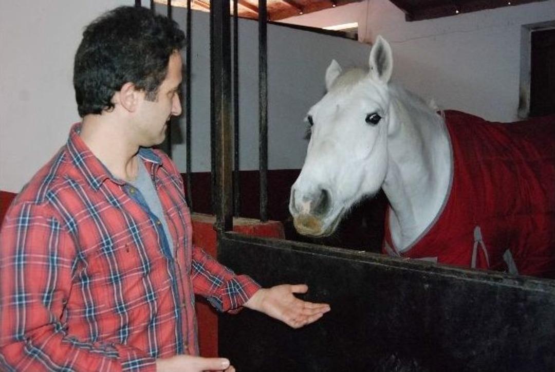 Şampiyon Atlar, Hayatlarının Son Deminde Terapide Kullanılıyor