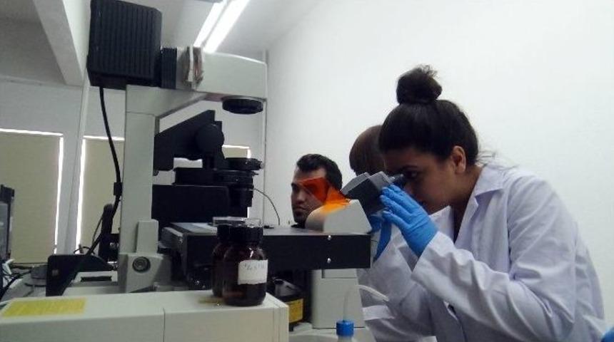 Sd&uuml;&rsquo;de &Uuml;retilen Nanomotorlarla Kanser Tedavi Edilecek