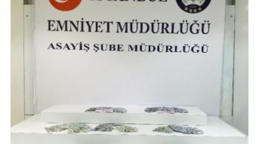 Suriyeli &Ccedil;ocukların Eğitim Parasını &Ccedil;aldılar