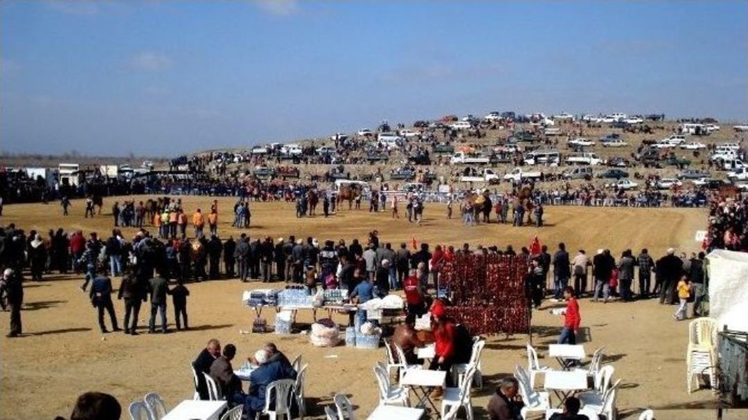 Sarıg&ouml;l 1. Deve G&uuml;reşleri Festivali&rsquo;ne Yoğun İlgi
