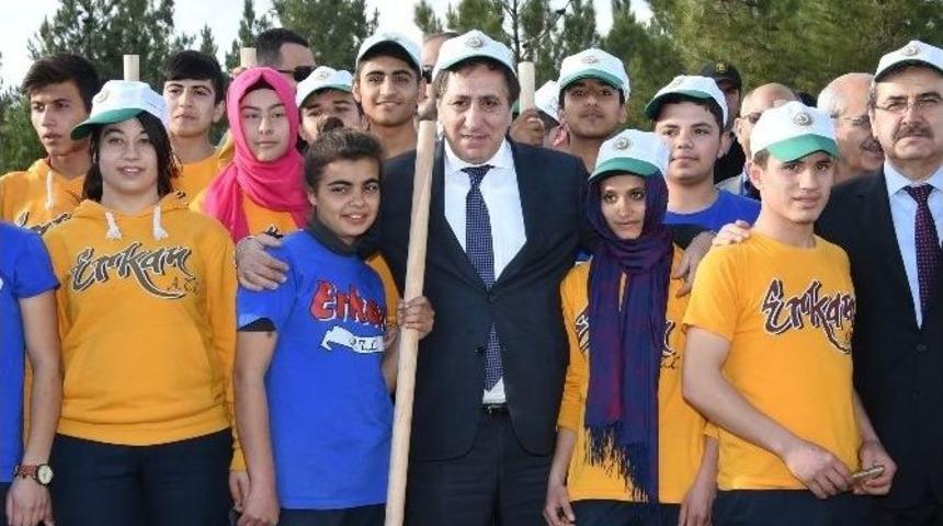 Şanlıurfa Gaziantep Yoluna 1 Milyon Fidan