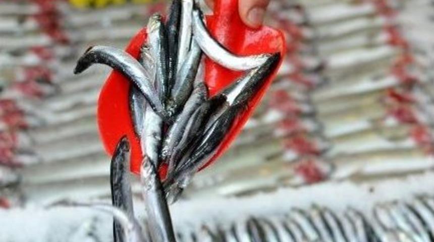 Başkentliler 2015&rsquo;te En &Ccedil;ok Hamsi T&uuml;ketti