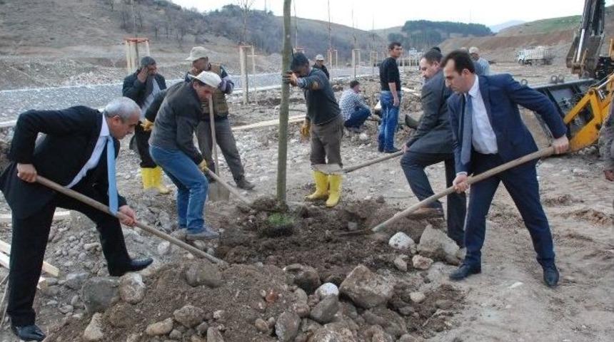 Beşpınar Vadisinde Ağa&ccedil;landırma &Ccedil;alışmaları Devam Ediyor